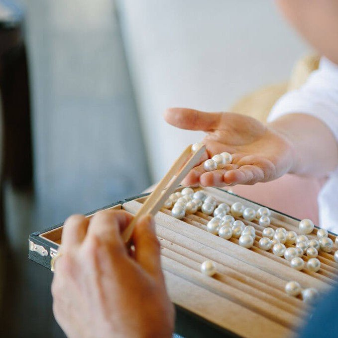 Broken Bay Pearl Farm Tour - We Wander