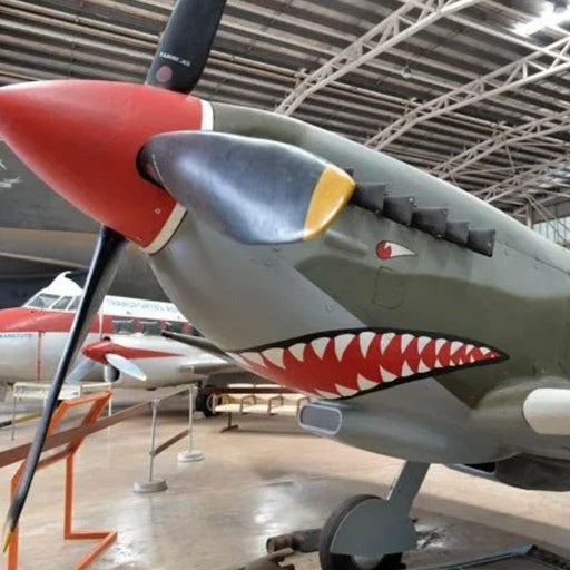 Croc N History Explorer Ticket - We Wander